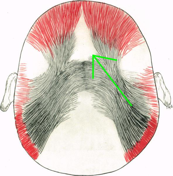 janat00591-0054-a.jpg