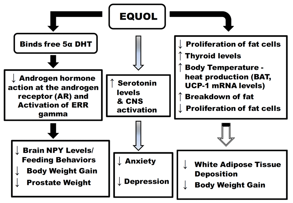 nutritionalhealth-foodscience77-g003.gif