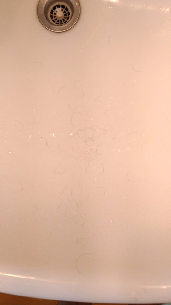 P_20180202_191358_vHDR_Auto.jpg