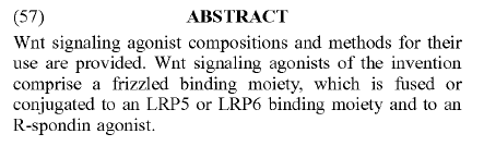 patent_abstract.png