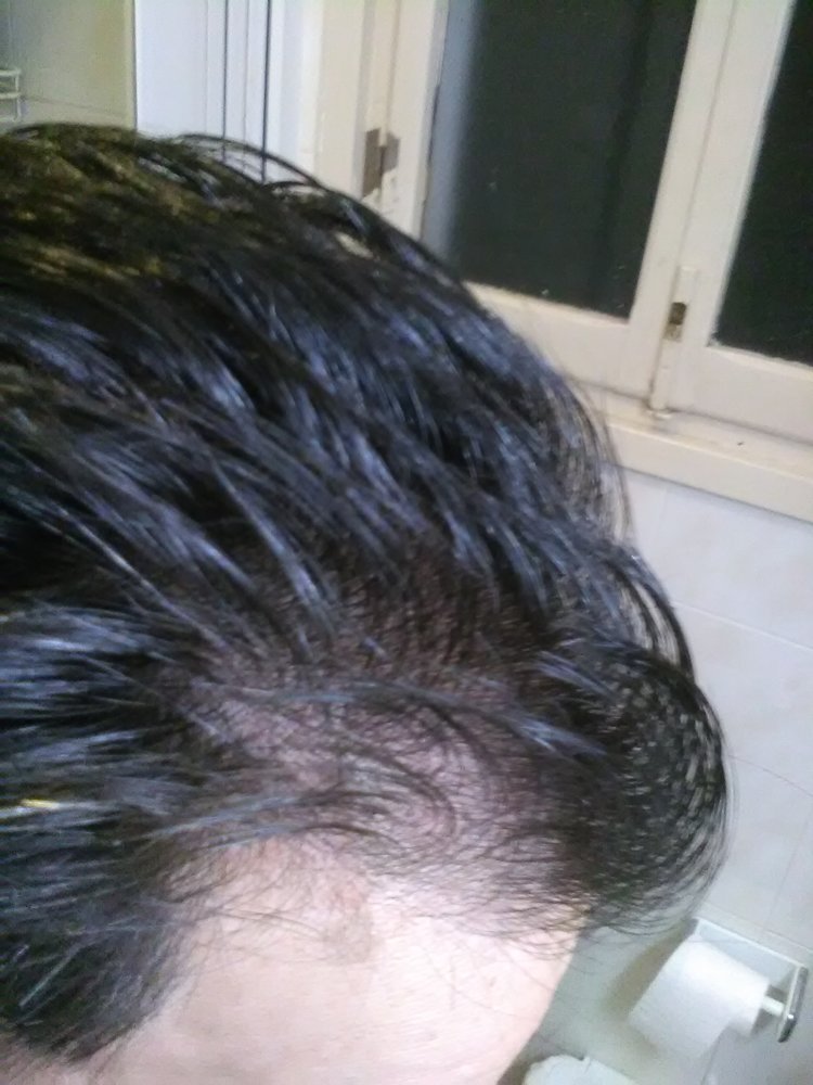 pic1.jpg