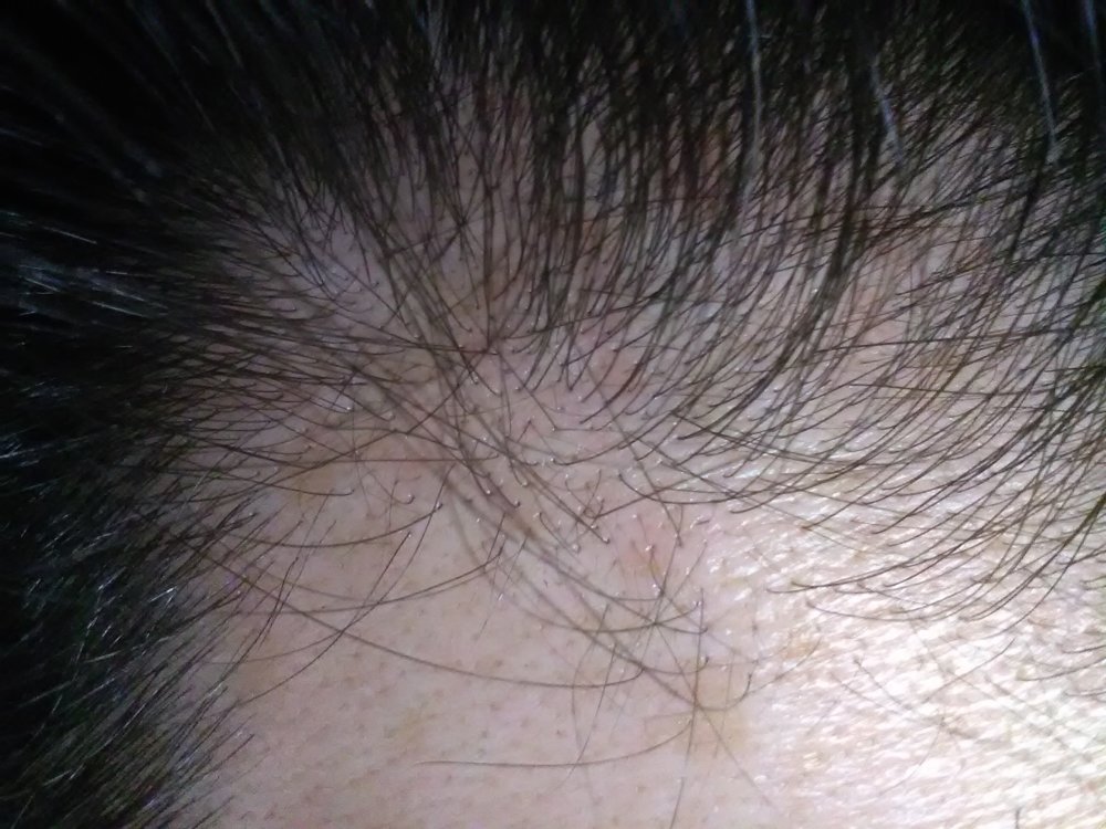 pic7.jpg
