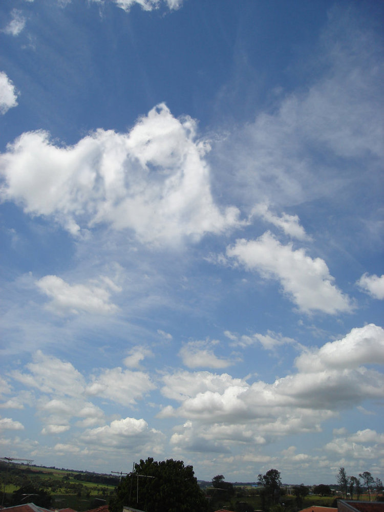 polar_bear_cloud_by_artaquilus-d4oqefy.jpg