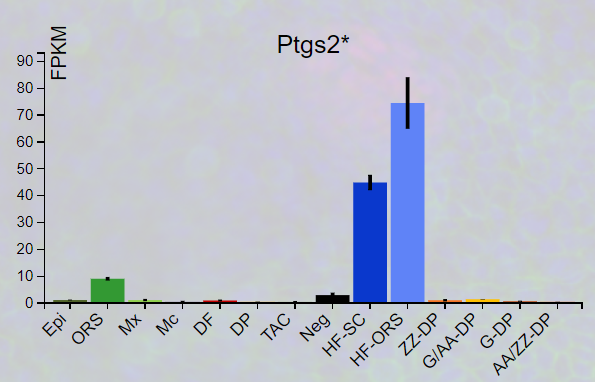 Ptgs2.png