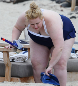 rebel_wilson_fat-273x300.png