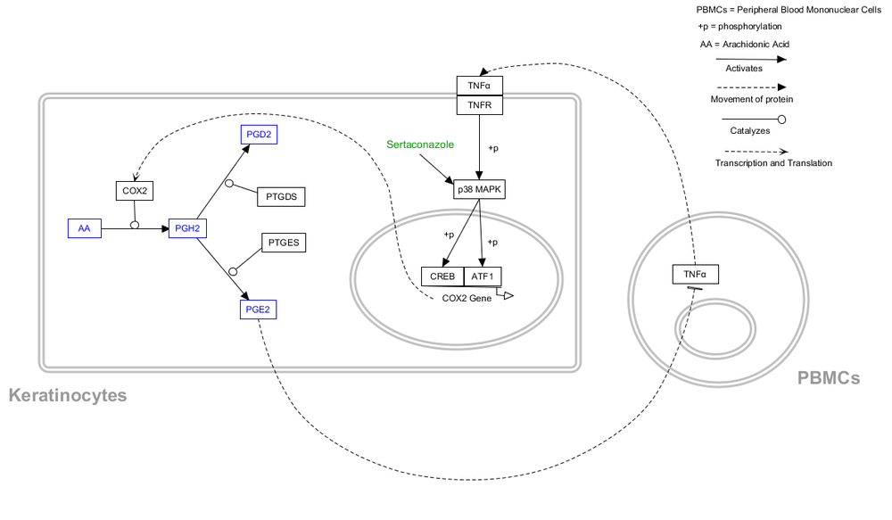 scheme1.png