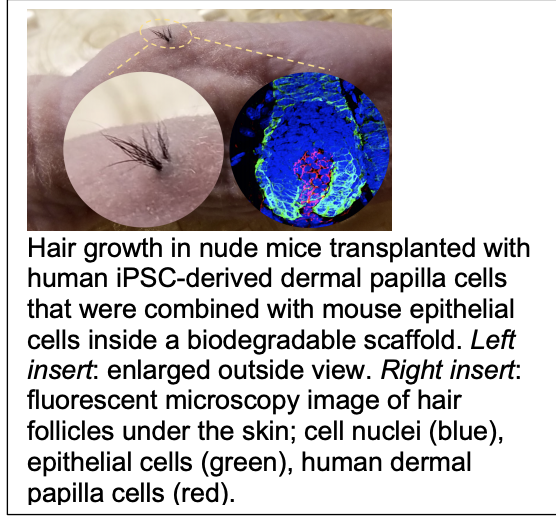 Screen Shot 2020-11-12 at 00.55.42.png