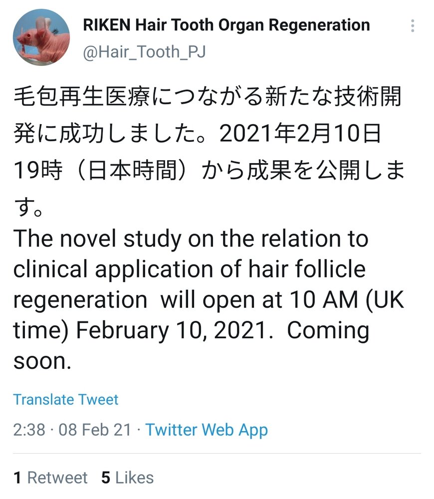 Screenshot_20210208-093440_Twitter.jpg
