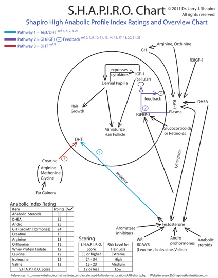 shapiro-chart-52.jpg