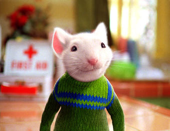 Stuart-Little.jpg