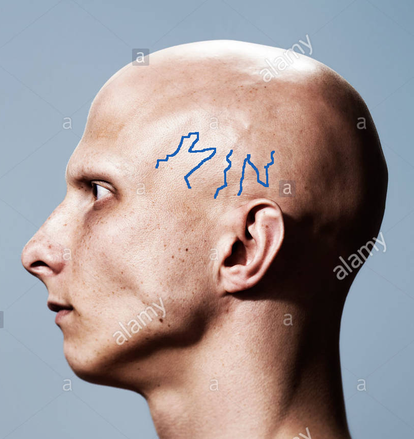 temple viens.png