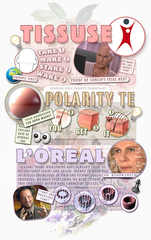 Tiss-_Pol-_Loreal.jpg