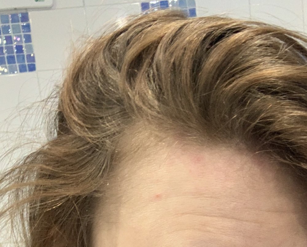upload_2019-2-12_20-41-12.jpeg