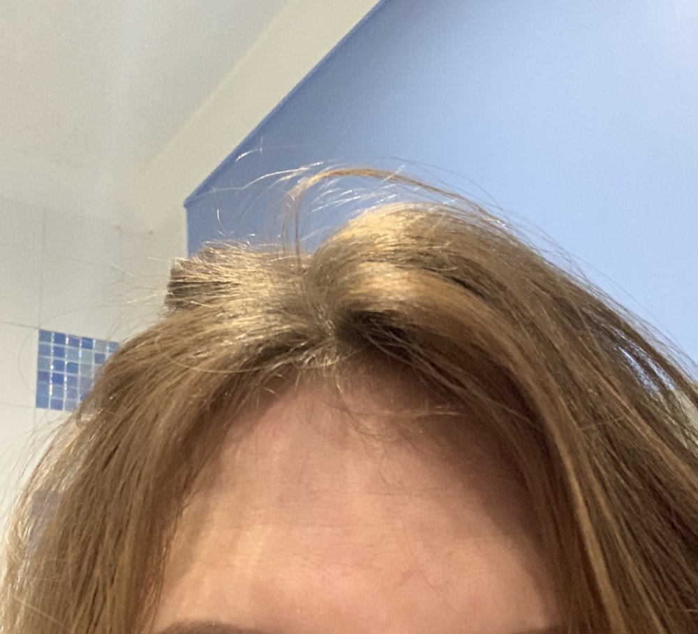 upload_2019-2-12_20-41-59.jpeg