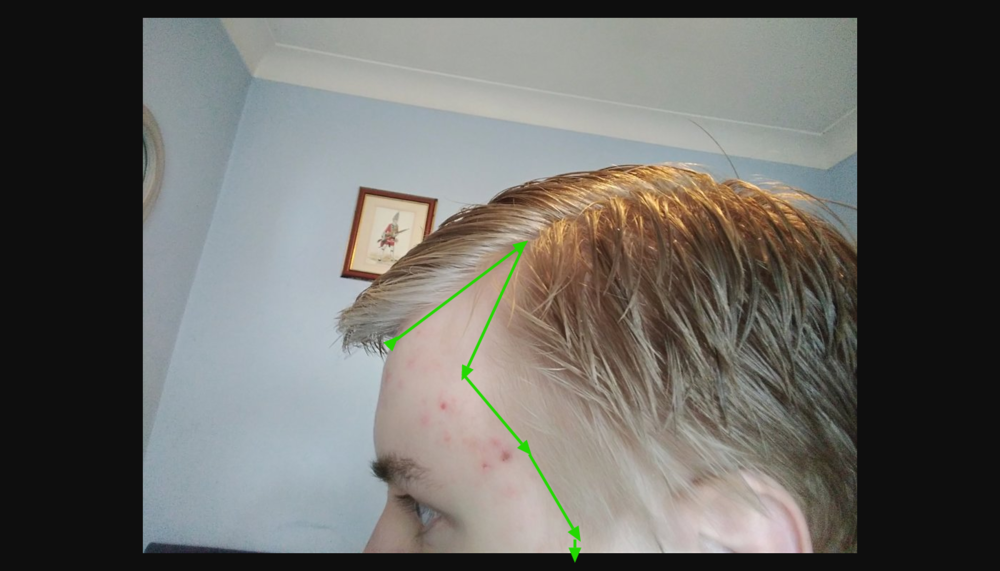 upload_2019-4-5_18-59-45.png