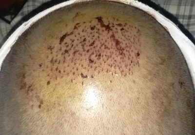 userimage-2121907.jpg