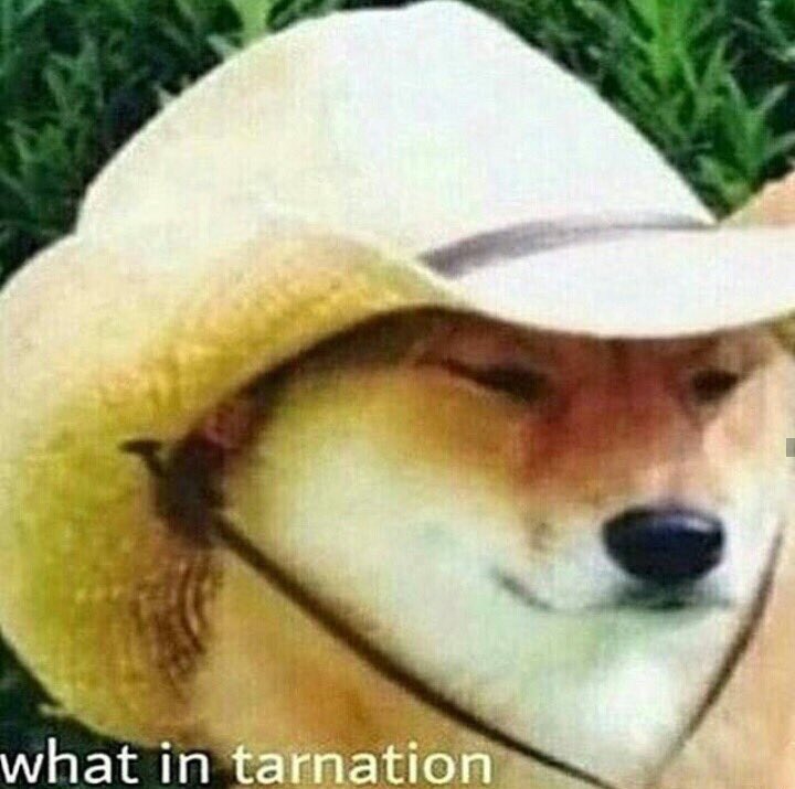 what-in-tarnation-original.jpg