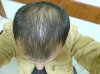 DSC00990.JPG