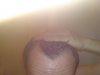 DSC00066.JPG