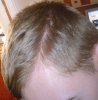 DSC000433.jpg