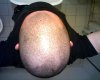 Picture 012.jpg
