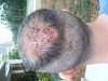 DSCF3175.jpg