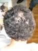 2009-04-28 027.JPG