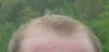 my hair.jpg
