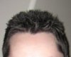 2009.jpg