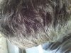 PICT0113.JPG