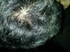 PICT0116.JPG