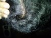 PICT0131.JPG