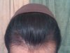 IMG00017-20090728-0310.jpg