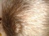 2013-06-07 15.40.10.jpg