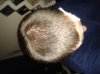 20130625_213836.jpg