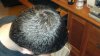 2013-07-02_22-18-54_235.jpg