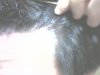 CAM00158.jpg