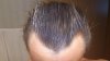 DSC_0024.jpg DSC_0024.jpg