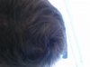20130706_105322.jpg