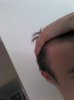 IMG_20130712_164355.jpg