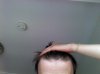IMG_20130712_164425.jpg