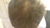 head1.jpg