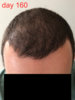 day-160-1.jpg