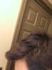 20190325_194248.jpg