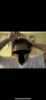 01C8F095-DE7A-4032-BF20-60DF5941D581.png