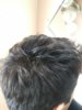 20190402_180934.jpg