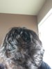 20190402_181921.jpg