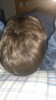 20190320_042334.jpg