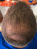 229-4-web.jpg