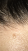 IMG_9288.PNG